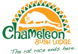 BOP-Chameleon-Bush-Lodge-Logo